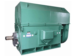 瑞溪镇Y系列6KV高压电机生产厂家